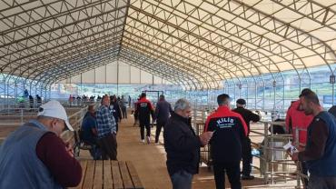 Kilis'te bayram öncesi hayvan pazarında denetimler arttı