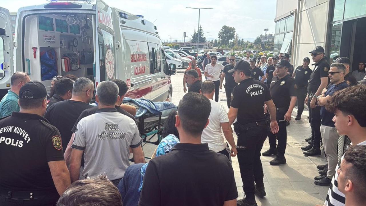 Vahşette ölü sayısı 6'ya yükseldi