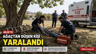 Ağaçtan Düşen Kişi Yaralandı