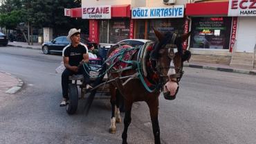 At Arabasıyla Ekmeğinin Peşinde: Mehmet Umut