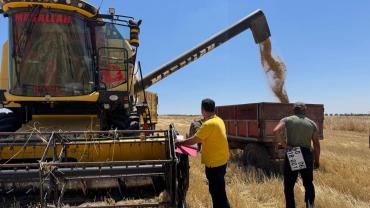 Biçerdöver Operatörleri ve Makine Ayarları Denetleniyor