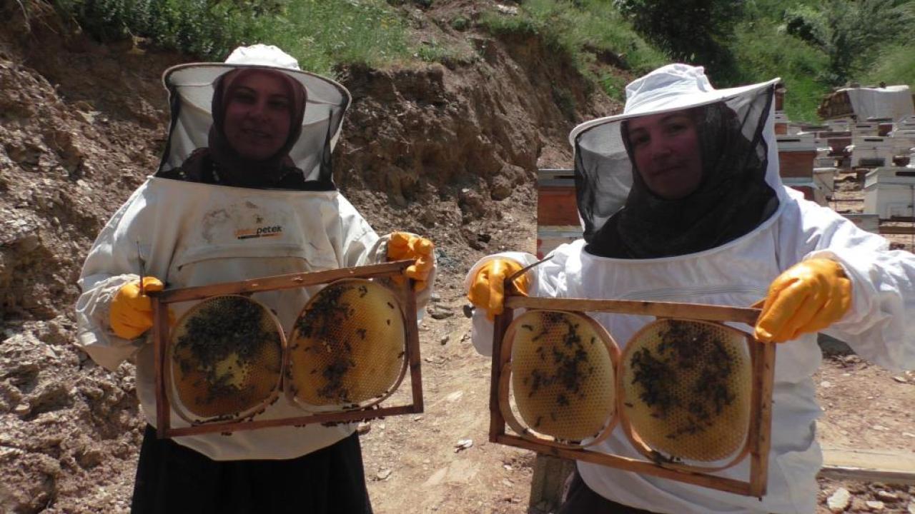 Gelin-görümcenin arıcılık başarısı: 5 kovandan 100 kovana ulaştılar