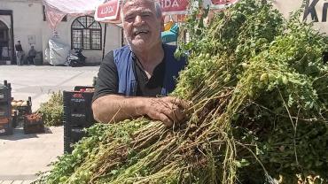 Pazarlarda Yaz Esintisi: Taze Nohut Tezgahları Şenlendirdi
