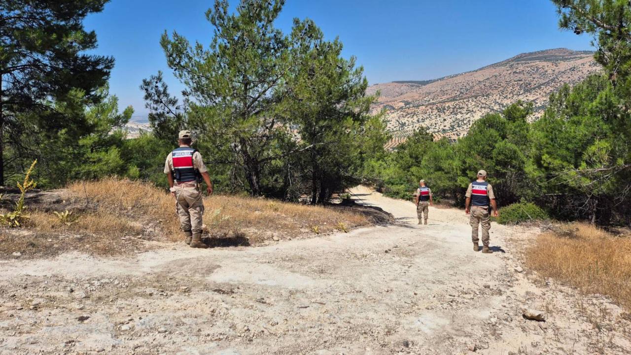 Polateli’de Orman Yangınlarına Karşı Denetimler Aralıksız Sürüyor
