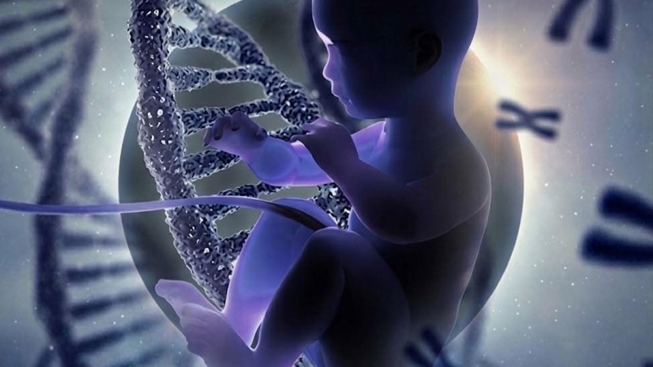 Ruhunuzun Şifresi Orada Gizli: Doğmu Öncesi Prenatal Nedir?