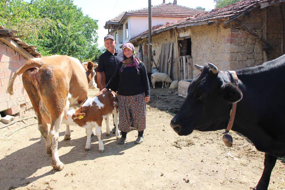 Buzağılarına hayranı oldukları şarkıcının ismini verdiler: ‘Yıldız’ ve ‘Tilbe’